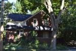 56 John Street East